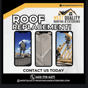 Screenshot 2026-02-21 at 12.28.27 PM